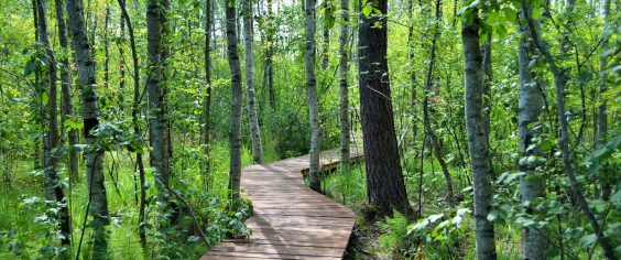 Областной регоператор организовал сбор и утилизацию мусора на территории природных заказников региона.