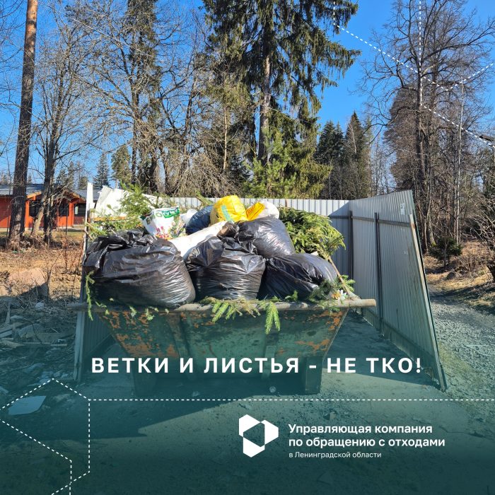 Ветки и листья – не относятся к ТКО!