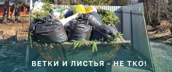 Ветки и листья – не относятся к ТКО!
