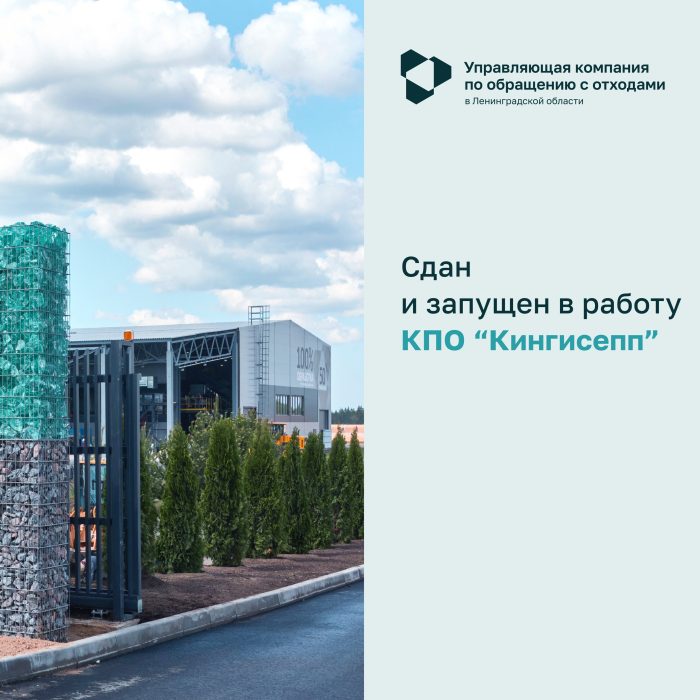 Наши достижения за 2025 год!