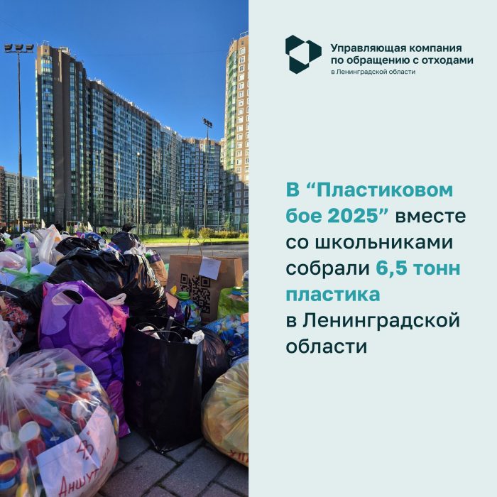 Наши достижения за 2025 год!