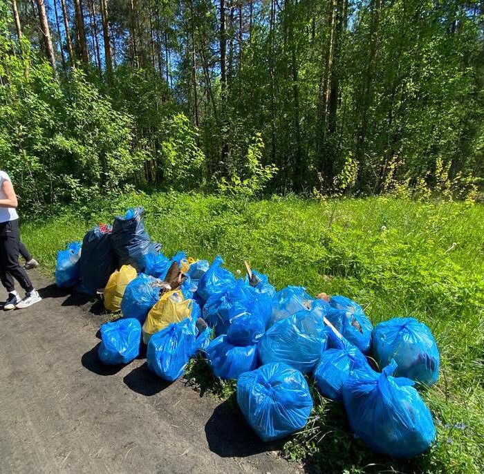 Операторы отходы. Утилизация отходов в лесу. Способы утилизации мусора в лесу. Переработка мусора в Ленинградской области. Что можно сделать из утилизированного мусора.