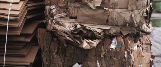 Почему важно собирать и сдавать макулатуру?