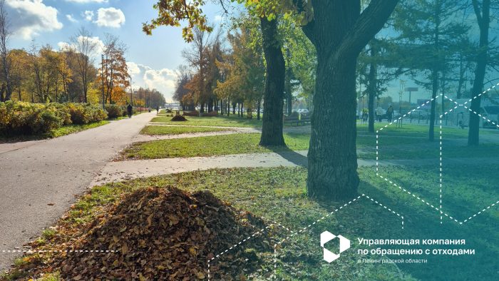 Можно ли складировать ветки и листву в контейнерах для ТКО на контейнерных площадках?