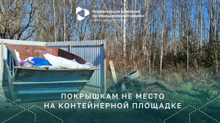 Утилизация шин: правила и ответственность