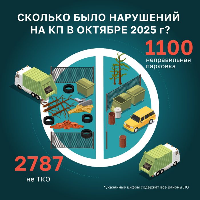 Нарушения на контейнерных площадках Ленинградской области за октябрь 2025 года