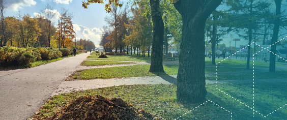 Можно ли складировать ветки и листву в контейнерах для ТКО на контейнерных площадках?