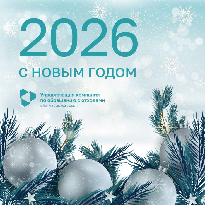 Региональный оператор Поздравляет с Новым годом!