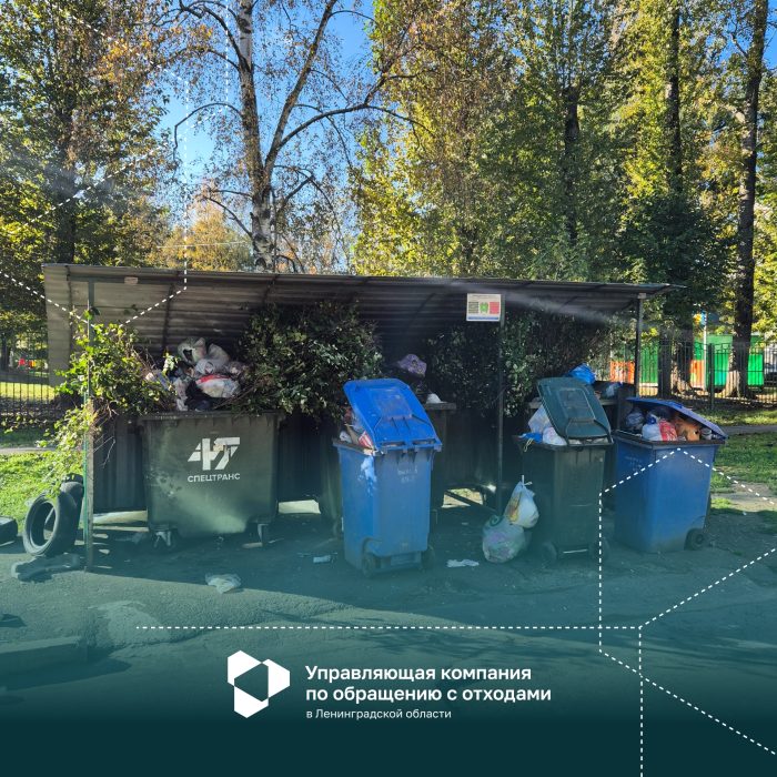 У меня нет мусора