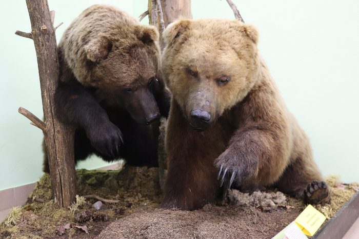 Сотрудники регоператора посетили Лисинский лесной колледж