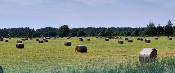 Ленинградской области — 98 лет!