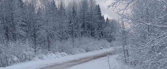 Зима наступила, никогда такого не было, и вот опять