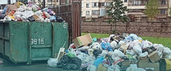 В Буграх на Тихой улице совсем не тихие дела