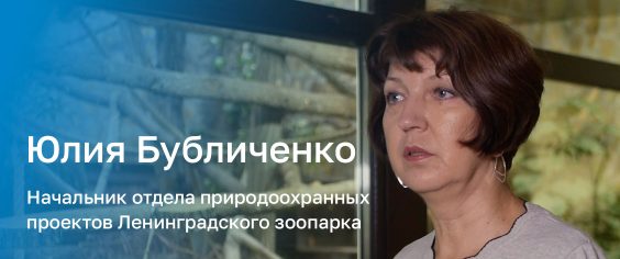 Одиннадцатый герой проекта «Только все вместе!» — Юлия Бубличенко