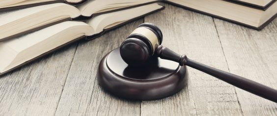 Тосненские садоводы получат контейнерную площадку