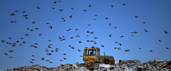 Лучшие практики. В Петербурге перерабатывается около 20% ТКО, но реформа изменит ситуацию