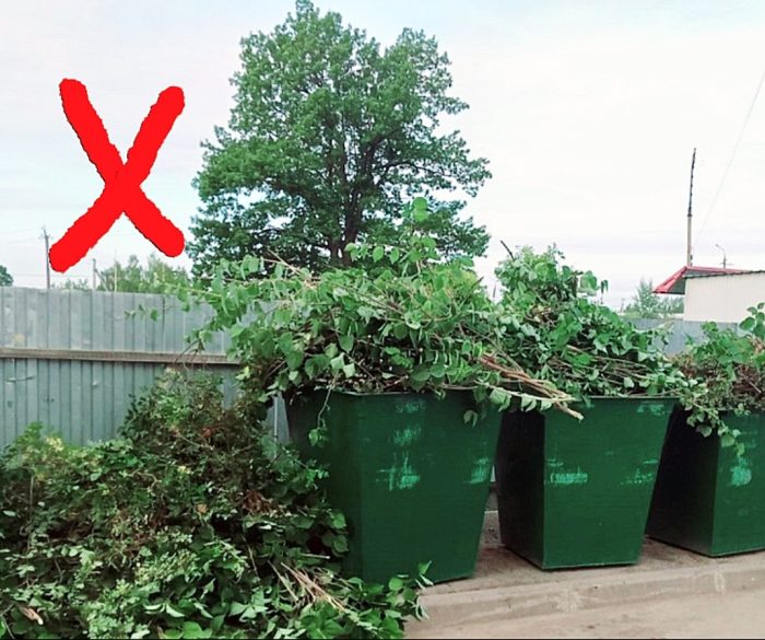 Ветки, листья и порубочные остатки деревьев запрещено складировать на контейнерной площадке 