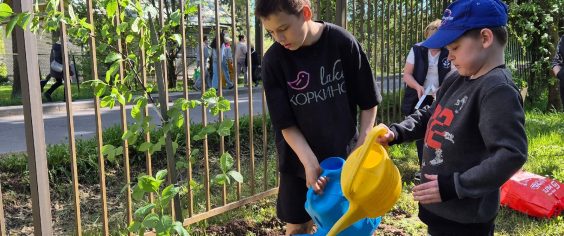 Сортировали и сажали. В гостях у Сиверского ресурсного центра