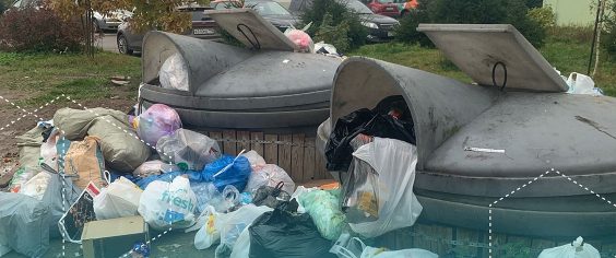 Нарушение графика вывоза отходов или один контейнер на три дома