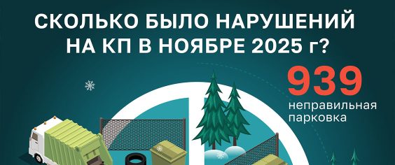 Нарушения на контейнерных площадках Ленинградской области за ноябрь 2025 года