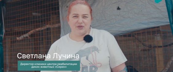 Морозилка для диких подопечных Сирина от нашей команды