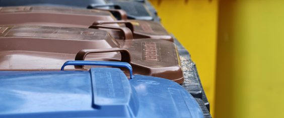 Пилотный проект по раздельному сбору мусора стартует в области в декабре