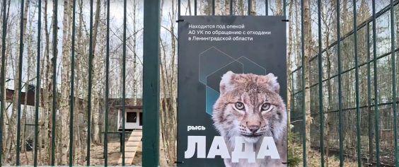 22 апреля отмечается Международный день Земли