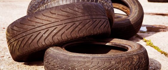 22 ноября акция «МиссияШина: дорога чистоты» пройдет в Тосно