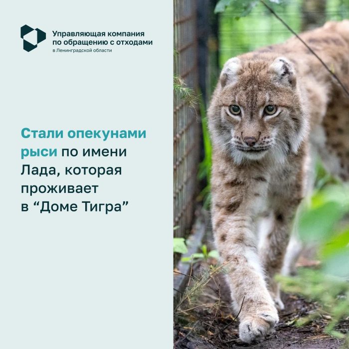 Наши достижения за 2025 год!