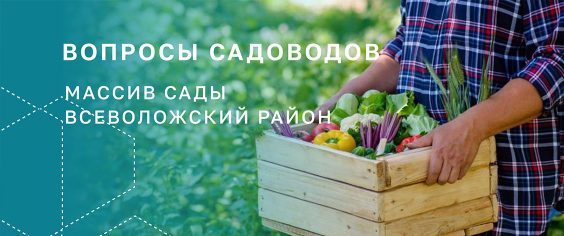 Массив «Сады»: есть проблема – есть решение